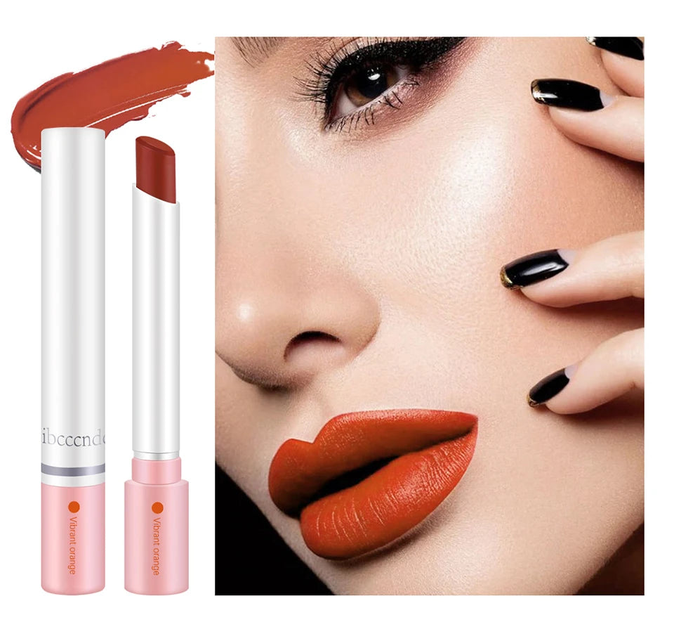 Matte Lipstick Set and Velvet Lip Tint for Daily Makeup and Special Occasions - 11