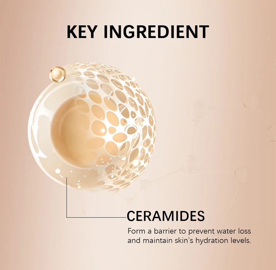 Hydrating Tinted Foundation and Moisturizing Concealer for Smooth Daily Makeup