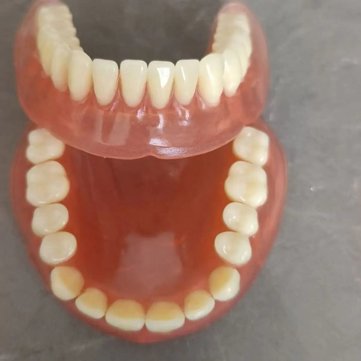 Full Mouth Denture Set and False Teeth Kit for Daily Oral Care and Hygiene